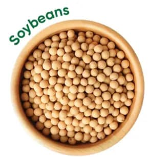 Soy beans